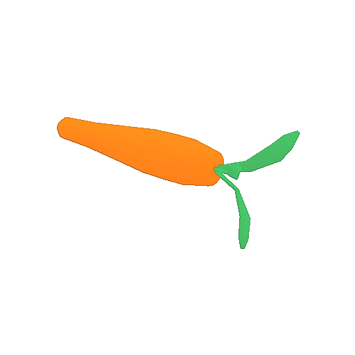 Carrot