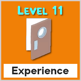 Experience